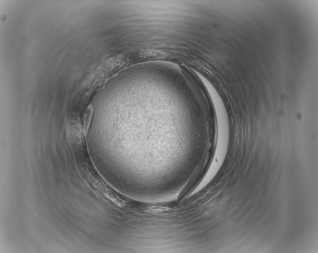 X0000056330617200509092330