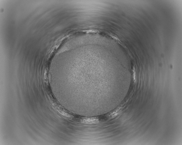 X0000056330619200509092330