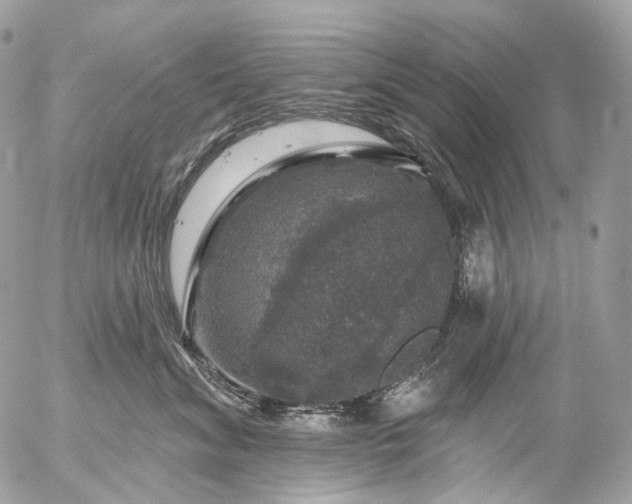 X0000056330620200509092330