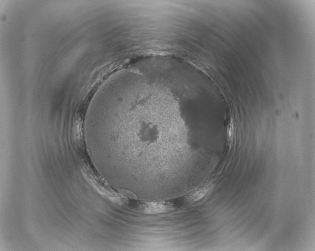 X0000056330623200509092330