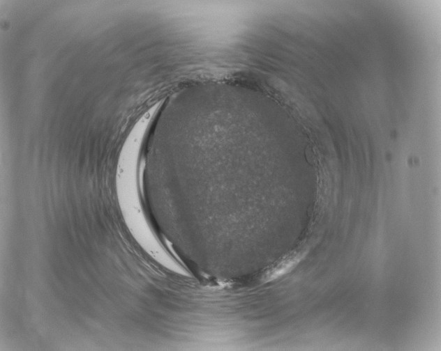 X0000056330624200509092330