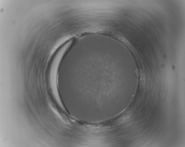 X0000056330626200509092329