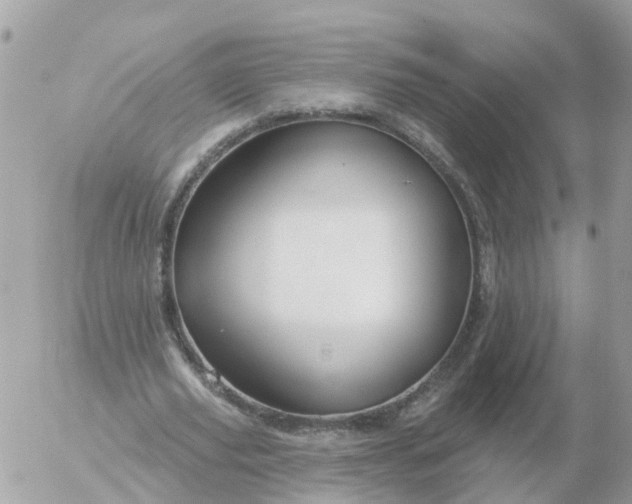 X0000056330629200509092329