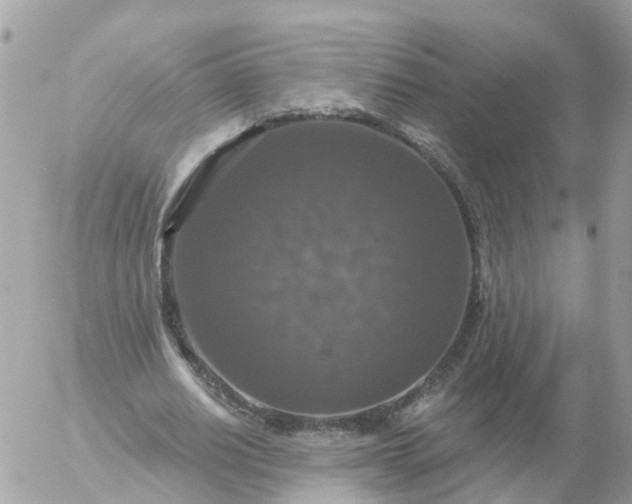 X0000056330630200509092329