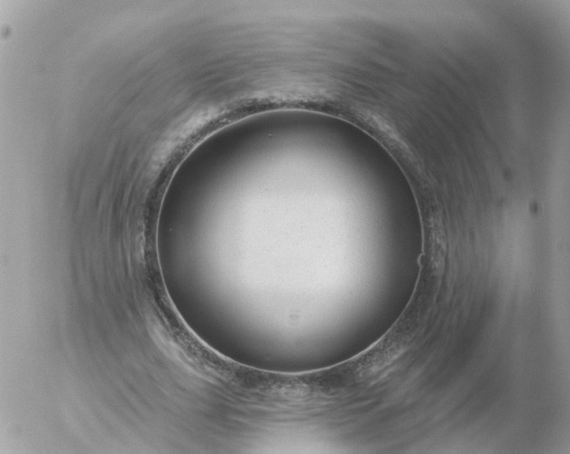 X0000056330631200509092329