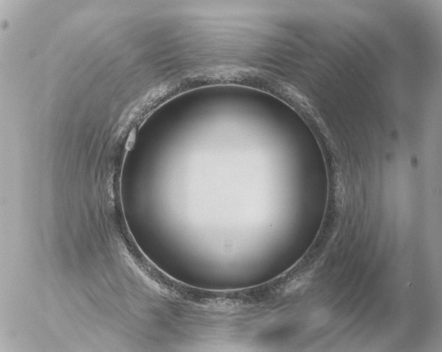 X0000056330633200509092329