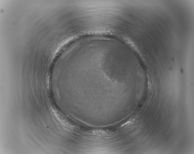 X0000056330636200509092329