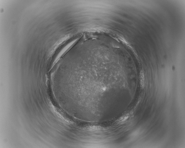 X0000056330637200509092329