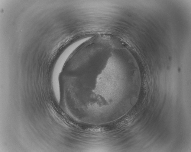 X0000056330639200509092329