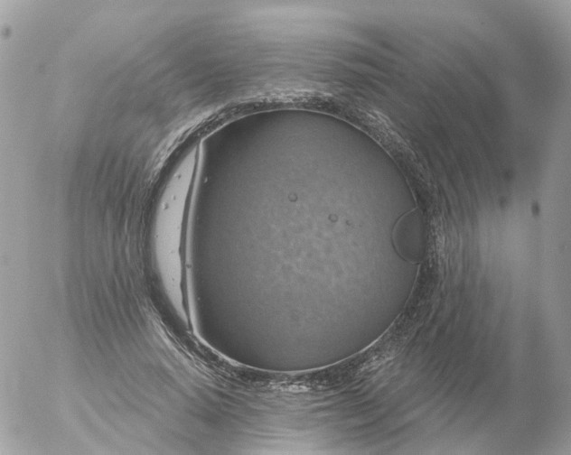 X0000056330640200509092329