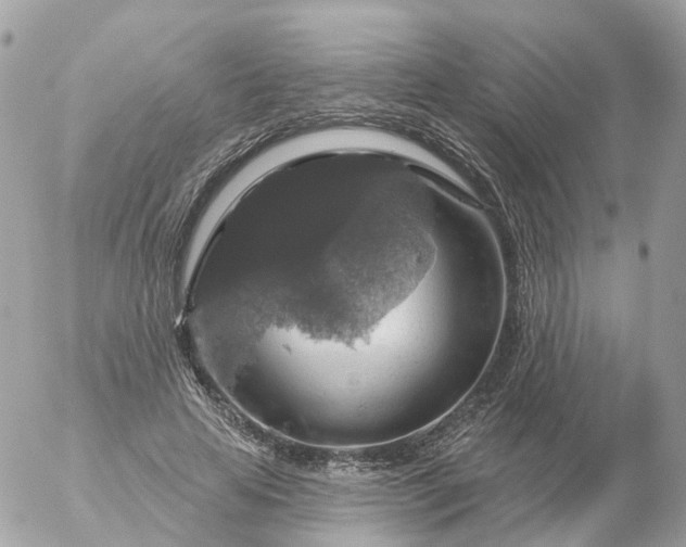 X0000056330641200509092329