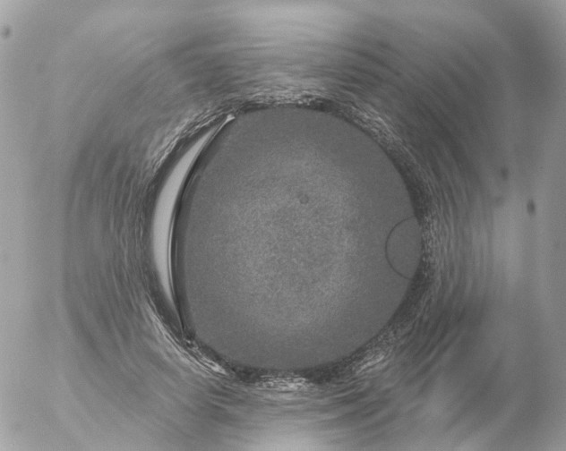 X0000056330642200509092329