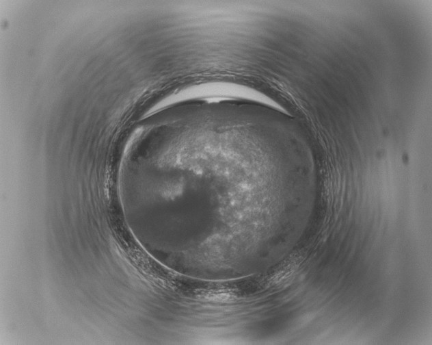 X0000056330643200509092329