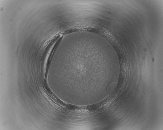 X0000056330644200509092329