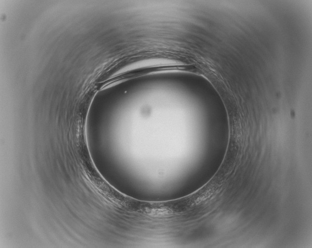 X0000056330645200509092329