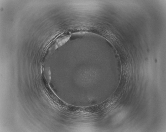 X0000056330648200509092329