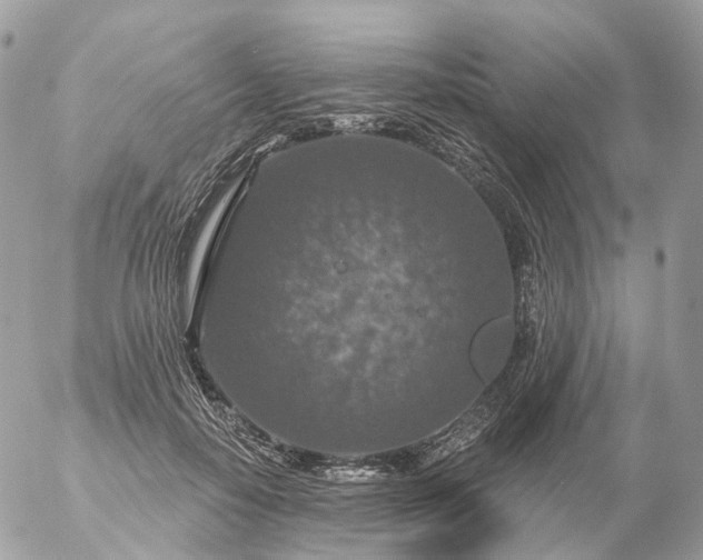 X0000056330650200509092329