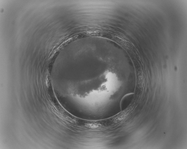 X0000056330654200509092329