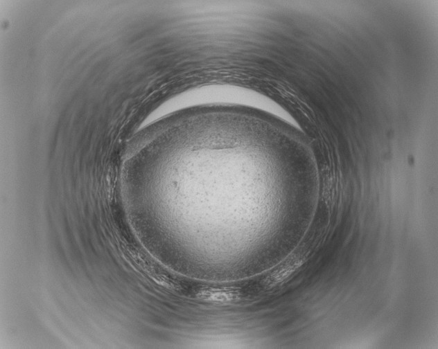 X0000056330655200509092329