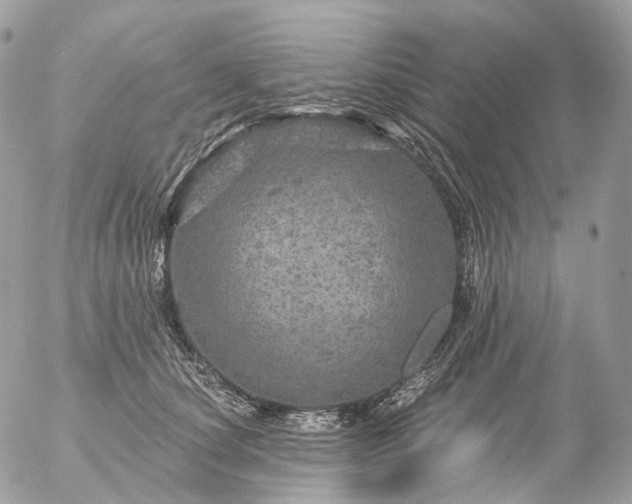 X0000056330660200509092329