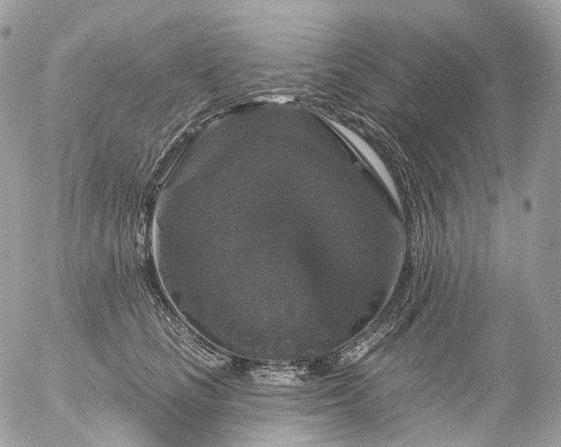 X0000056330661200509092329