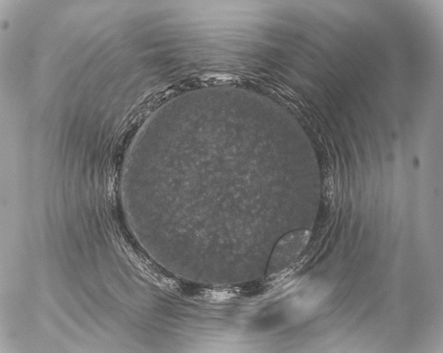 X0000056330662200509092330