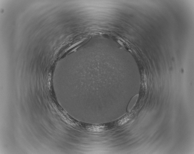 X0000056330664200509092330