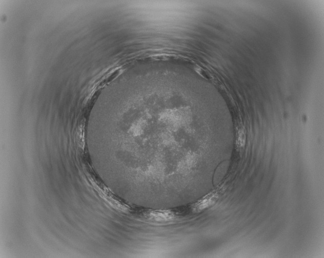 X0000056330666200509092330