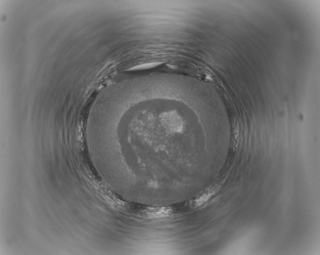 X0000056330667200509092330