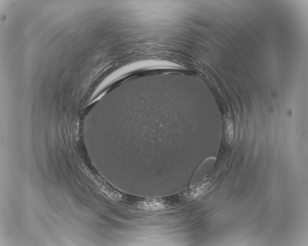 X0000056330668200509092330