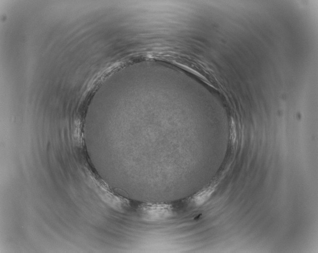 X0000056330670200509092330