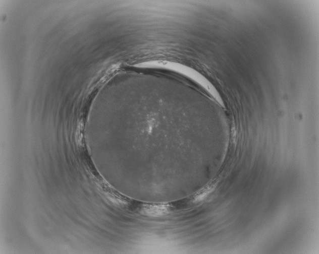 X0000056330671200509092330