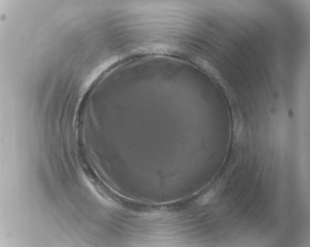 X0000056330674200509092329