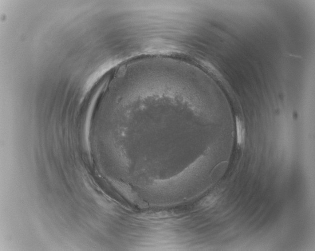 X0000056330675200509092329