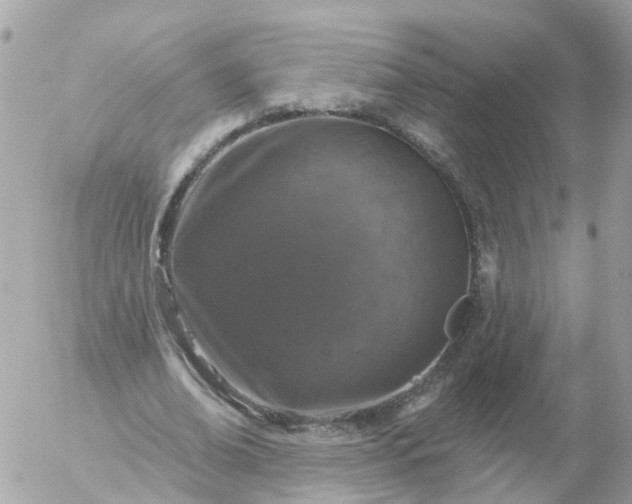 X0000056330678200509092329