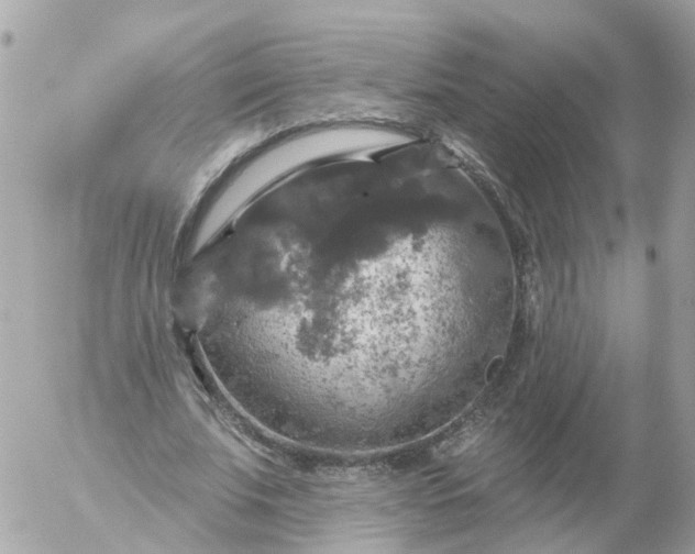 X0000056330679200509092329