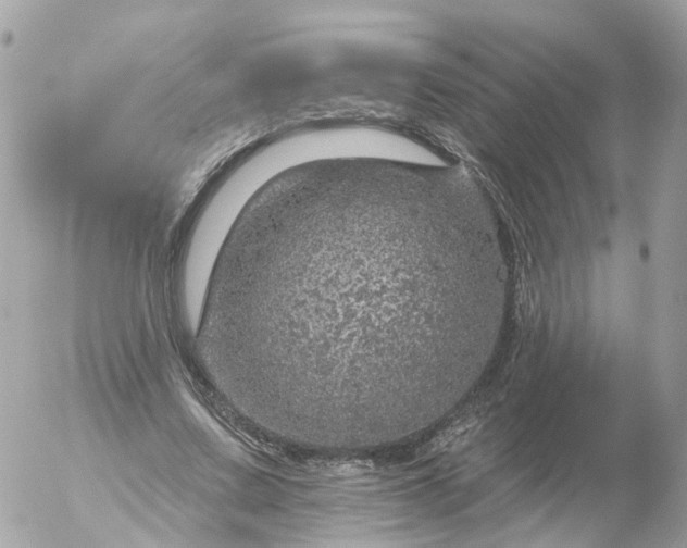 X0000056330683200509092329