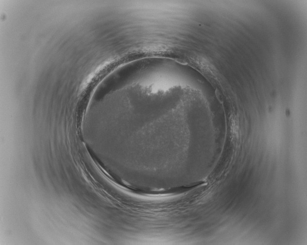 X0000056330684200509092329