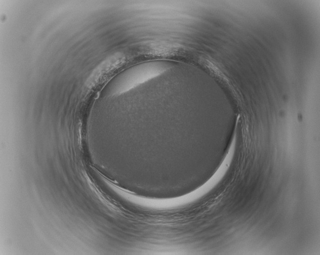 X0000056330685200509092329