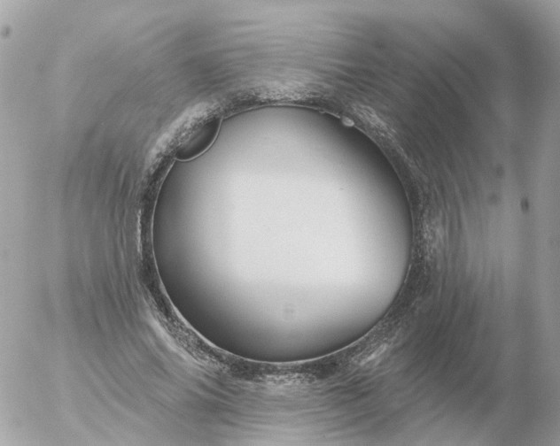 X0000056330686200509092329