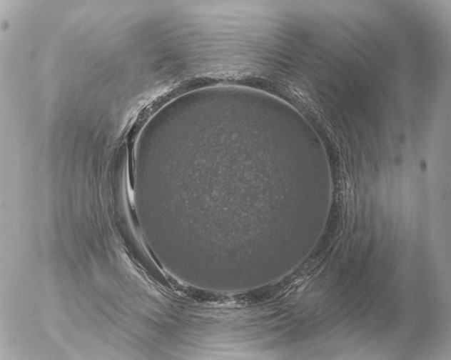 X0000056330688200509092329