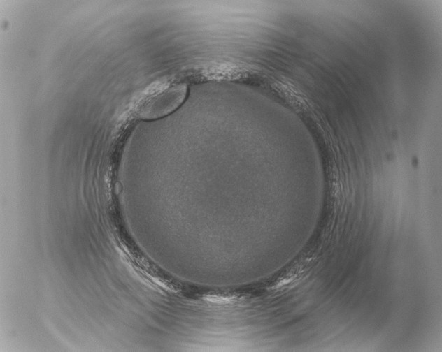 X0000056330690200509092329