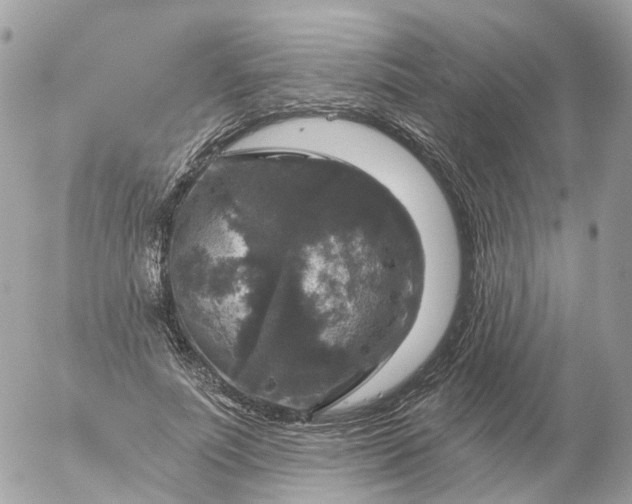 X0000056330691200509092329