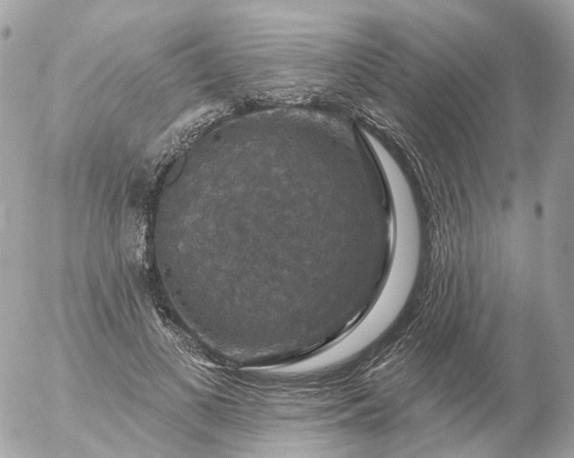 X0000056330693200509092329