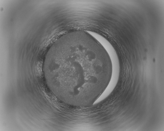 X0000056330695200509092329