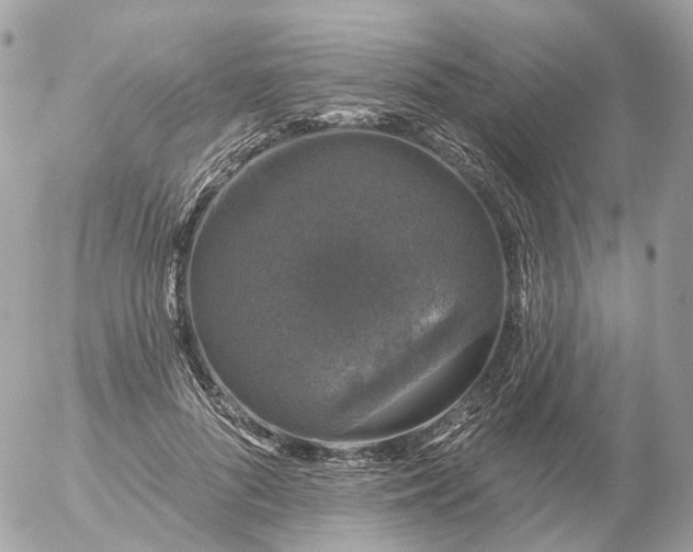 X0000056330696200509092329