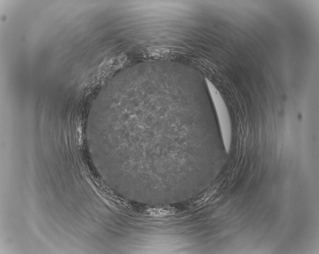 X0000056330703200509092328