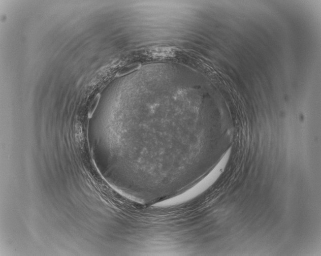 X0000056330704200509092328