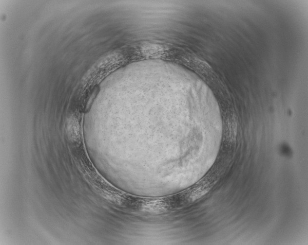 X0000056330705200509092328