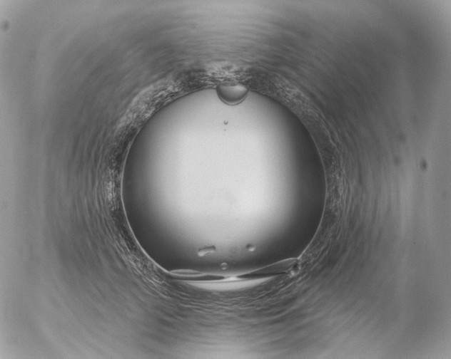 X0000056330706200509092328